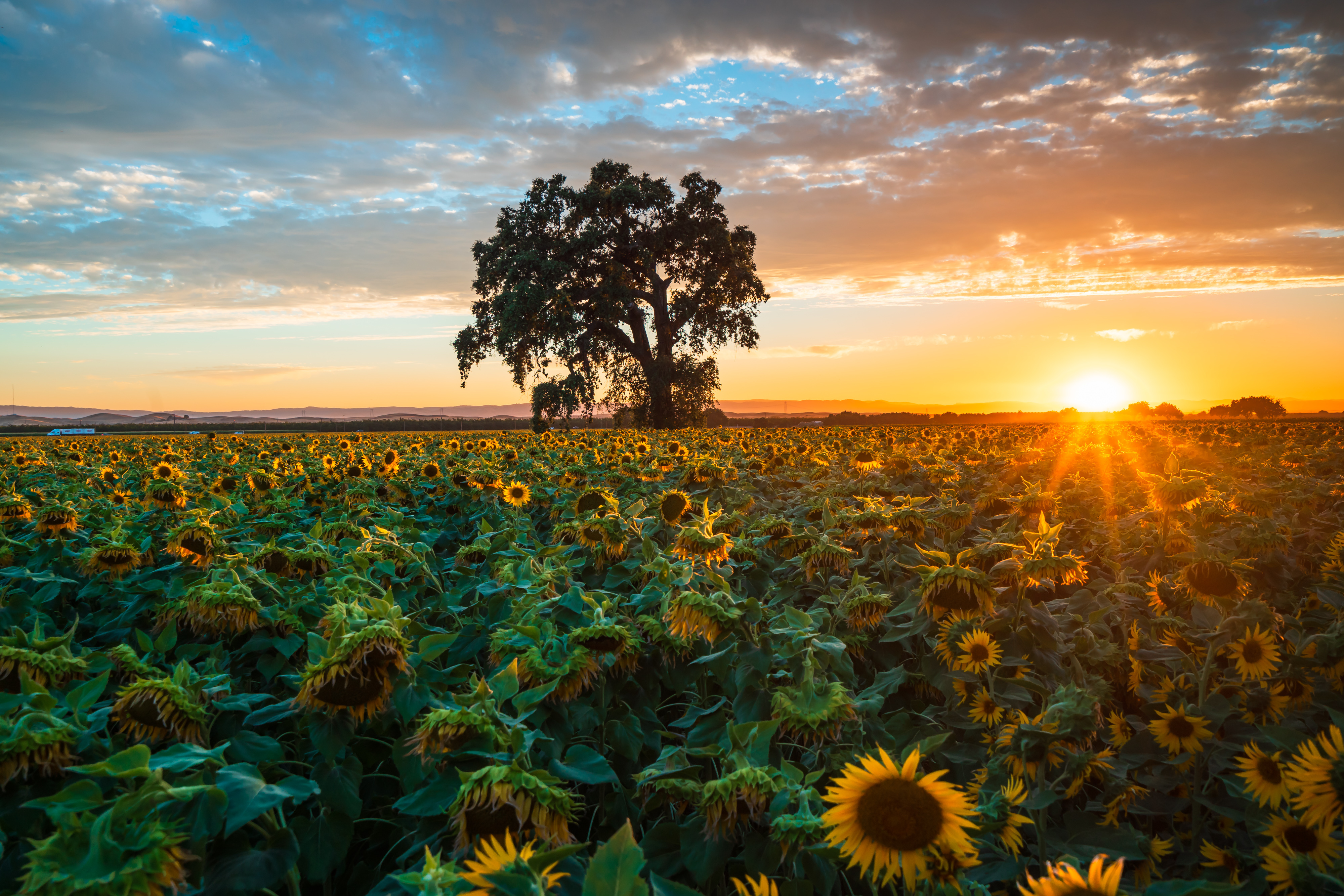 Northern California stock photo