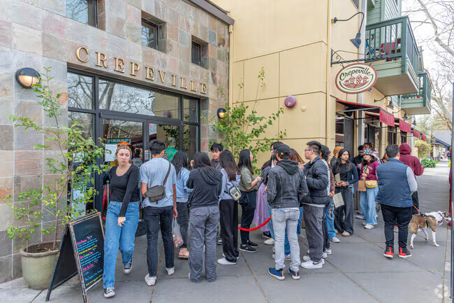 Digital Marketing Strategies in Davis, CA for 2026